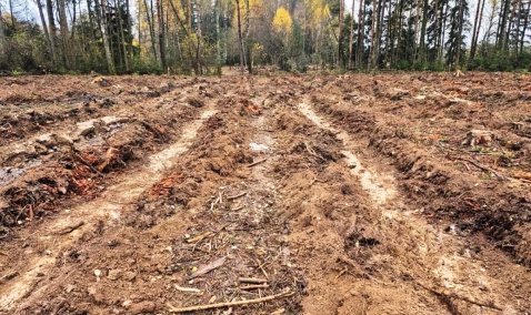 Под Каширой готовят земли для новых лесов