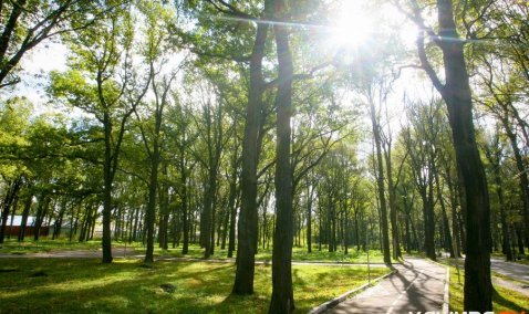 20 миллионов рублей потратят на парк в Ожерелье