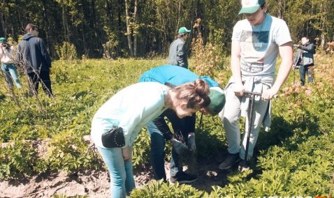 Жасмин, сирень, дерен – какие деревья высадят в Кашире в рамках акции «Лес Победы»