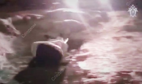 Сидел на путях перед поездом: сбитого в Кашире мужчину пытались спасти, довезя до Ожерелья