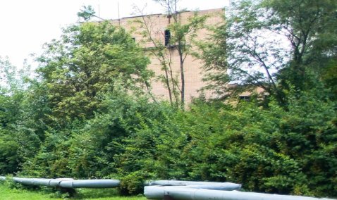 В Кашире снова озаботились судьбой заброшенного ДК в Зендиково