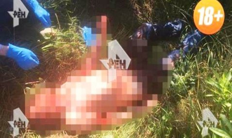 В Кашире рецидивист убил мужчину, отрезал ему ухо и пытался расчленить тело