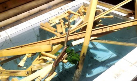 Вандалы разгромили помещение купели у родника в деревне Хитровка