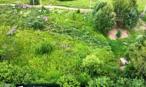 В деревне рядом с Каширой выставили на продажу 17 участков для строительства домов