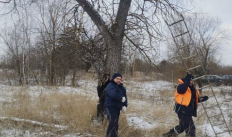 Провалившегося под лед рыбака спасли на Оке в Кашире