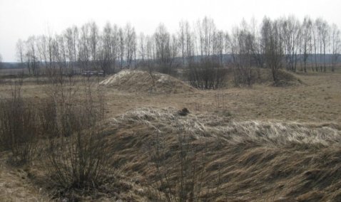 Каширскому фермеру выдали предостережение за неиспользованные 67 гектаров земли