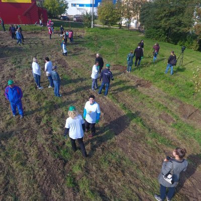 В рамках акции «Наш лес» в округе вновь сажали деревья