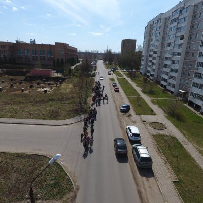 Более 300 деревьев высажено в ходе акции "Лес Победы"