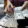 42-летняя жительница Каширы подозревается в краже почти 200 тысяч долларов из квартиры главы «Союза женских сил» в Москве