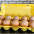 Кашира станет лидером Подмосковья по производству яиц