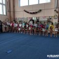 Открытое Первенство г.о. Кашира по спортивной гимнастике