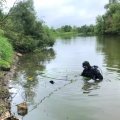 На пруду под Каширой утонул молодой мужчина