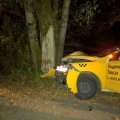 Водитель такси въехал в придорожное дерево в Кашире-1