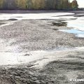 Потрескавшаяся земля, мертвая рыба и неприятный запах: как сегодня выглядит пруд в Знаменском