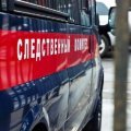 Доследственную проверку организовали по факту гибели мужчины под поездом в Кашире