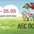 Более 700 саженцев деревьев и кустарников высадят в Кашире в рамках акции «Лес Победы»