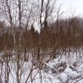 Каширских аграриев обязали привести в порядок почти 60 гектаров земли