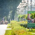 Кашира на будущей неделе станет одной из самых жарких точек на карте Подмосковья