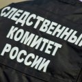Задержан сантехник-маньяк, который убивал и насиловал в Кашире и Ступино