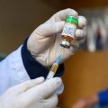 Собаку с подозрением бешенства выявили в СНТ рядом с Каширой