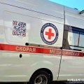 Женщина в Кашире пострадала в аварии после столкновения машины с лосем