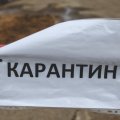 В городском округе Кашира снова установлен карантин по бешенству животных
