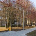 Новый сквер на Ленина в Кашире-3 откроется к зиме
