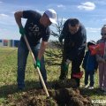 Более 300 деревьев высажено в ходе акции "Лес Победы"
