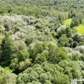 Повышенный класс пожарной опасности введен в каширских лесах