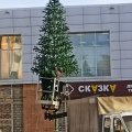 Новую елку решили установить на центральной улице в Кашире-2