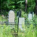 В городском округе Кашира закрыли для захоронений одно из кладбищ