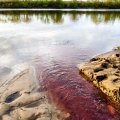 Жители деревни Баскачи сняли на видео багровый ручей, впадающий в Оку