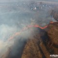 Горящая трава подступила вплотную к жилым домам рядом с Колтово