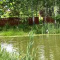 Житель Елькино, перегородивший доступ к пруду, проиграл судебный спор