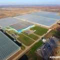 Тепличный комплекс «Агрокультура Групп» вошел в состав крупного российского холдинга ГК «Рост»