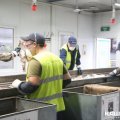 Два десятка нелегальных мигрантов выявили в ходе рейда на мусороперерабатывающем комплексе в Кашире