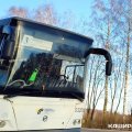 Нехватку водителей автобусов в Кашире будут решать бесплатной учебой в автошколе