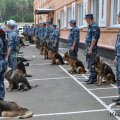День кинологической службы в системе МВД России отмечается 21 июня