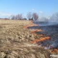 Пал травы приводит к серьезным пожарам