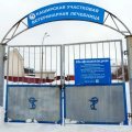 В Кашире решают судьбу государственной ветклиники