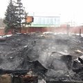 Неисправность печного отопления: названа официальная причина пожара в пункте передержки животных