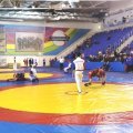 Каширян приглашают в эти выходные поддержать участников масштабного турнира по борьбе самбо