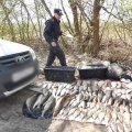 В Кашире задержали браконьера за незаконный вылов более 130 особей рыбы