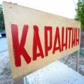 Карантин по бешенству отменен в пяти населенных пунктах Каширы