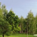 В Кашире стартовало благоустройство лесопарковой зоны рядом с парком