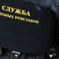 Судебный пристав в Кашире получил телесные повреждения при изъятии экскаватора – виновник оштрафован
