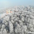 Морозные минимумы: в Каширу пришел арктический холод