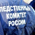 Следственный комитет ведет дело об убийстве 15-летним каширянином своего знакомого