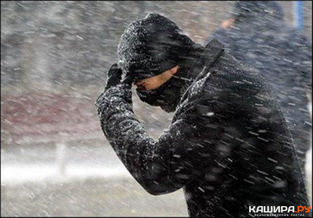 Областное МЧС предупреждает о мокром снеге и усилении ветра с порывами до 17 м/с