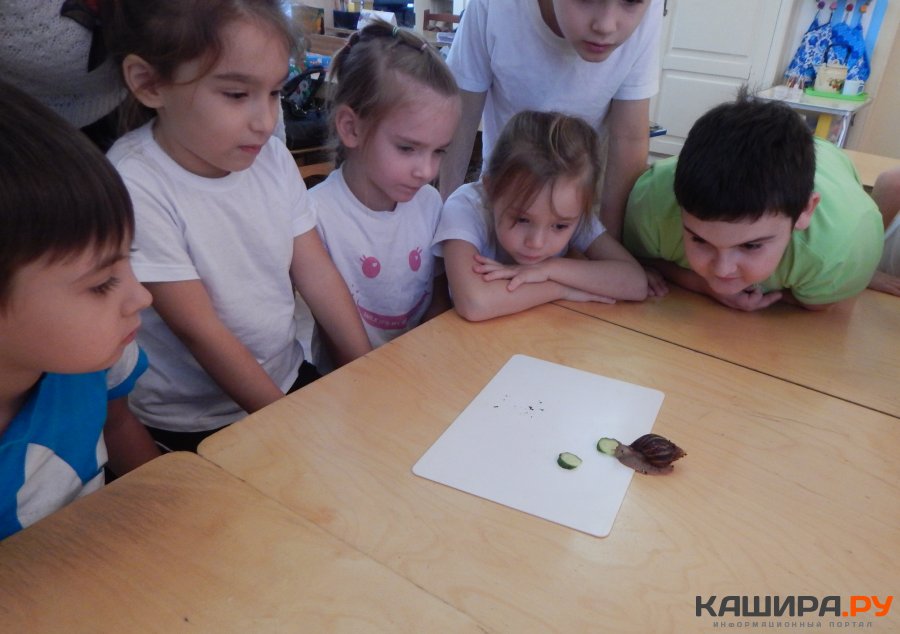 Природа и человек – это части одного целого